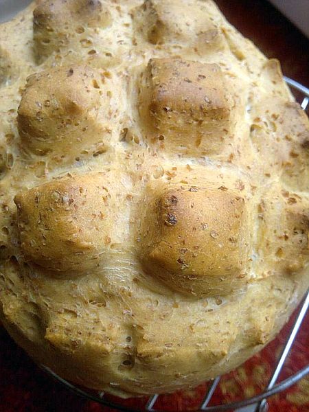 384172_551279571564729_1086100015_n