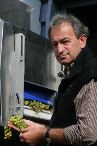 Hilltop Kamocsay Akos3