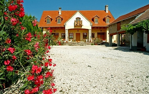 meszaros-borhaz-es-pince-10_v