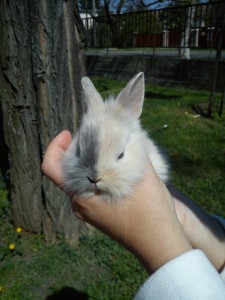 Ekkorka volt, mikor elhoztuk