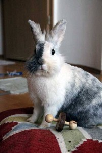 Három éves, az ajándékaival