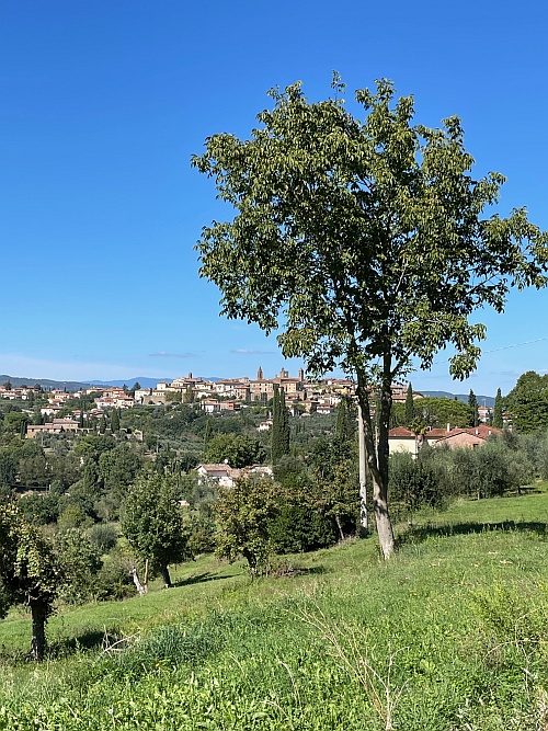 Mindenhonnan egy mese