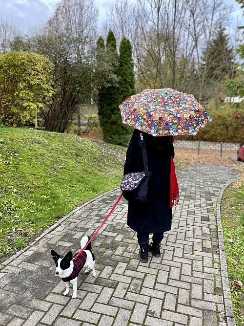 De nem csak bögrében fejeződhet ki a rajongás: az esős időre megoldást kínál a főszereplőkkel átszőtt esernyő és az iskolai holmikat is szépen elnyeli az oldaltáska
