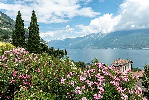 pexels-wolfgang-weiser-467045605-29337336_v