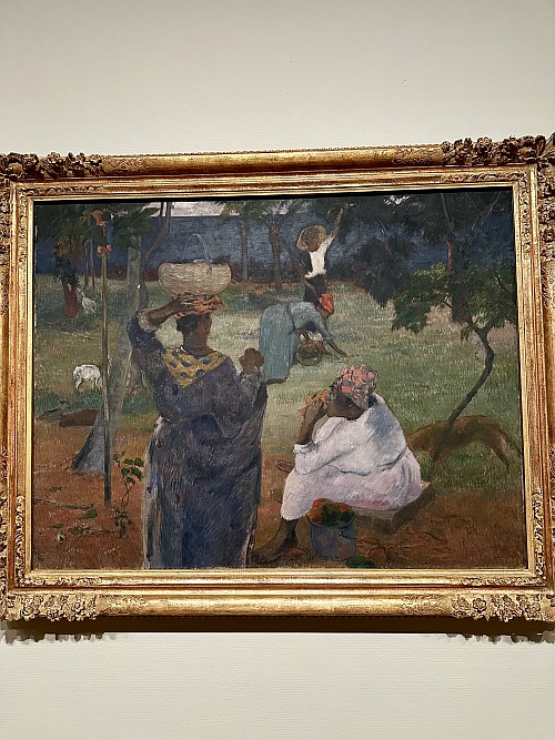 Mangófák, Van Gogh Múzeum, Amszterdam