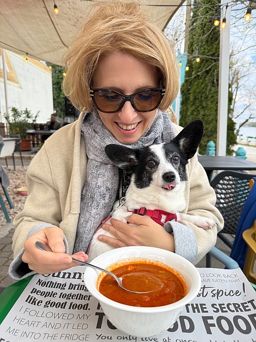 Harcsahalászlé, éhező kutyával